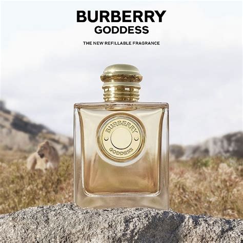 douglas goddess burberry|burberry goddess fragrantica.